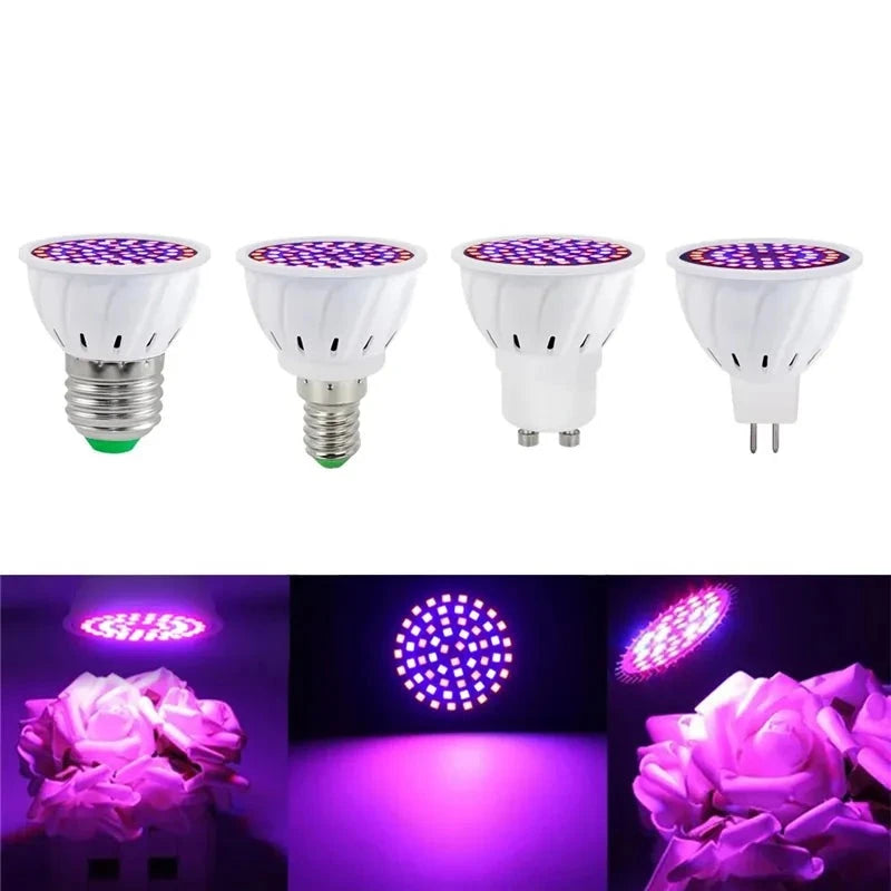 gu10 grow light bulb Led GU10 Hydroponic Growth Light