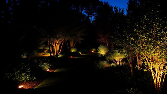 Garden lit up at night with warm lights.